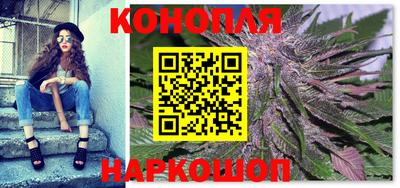 мяу мяу мука Кандалакша