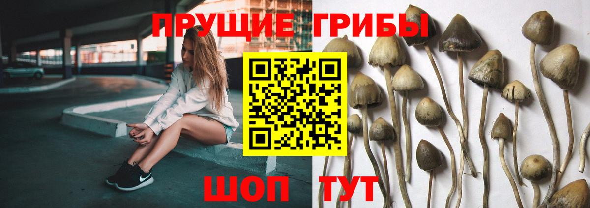 Галлюциногенные грибы GOLDEN TEACHER Коммунар