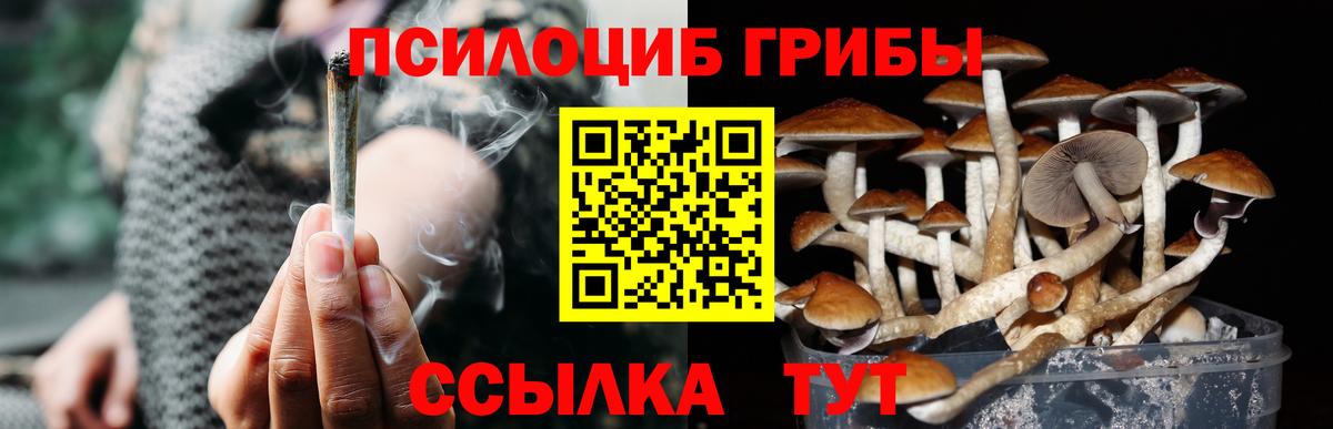 где найти наркотики  Псилоцибиновые грибы прущие грибы  Вход с VPN  Коммунар 